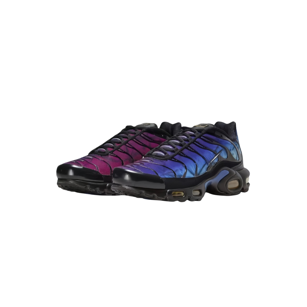 TN Sneakers Vendor
