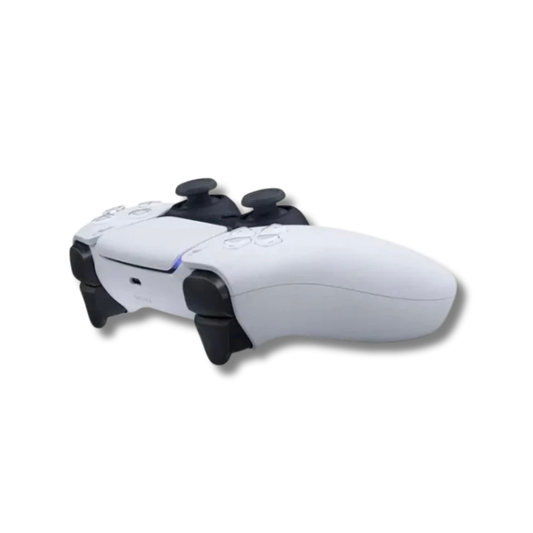 PS5 Controller Vendor